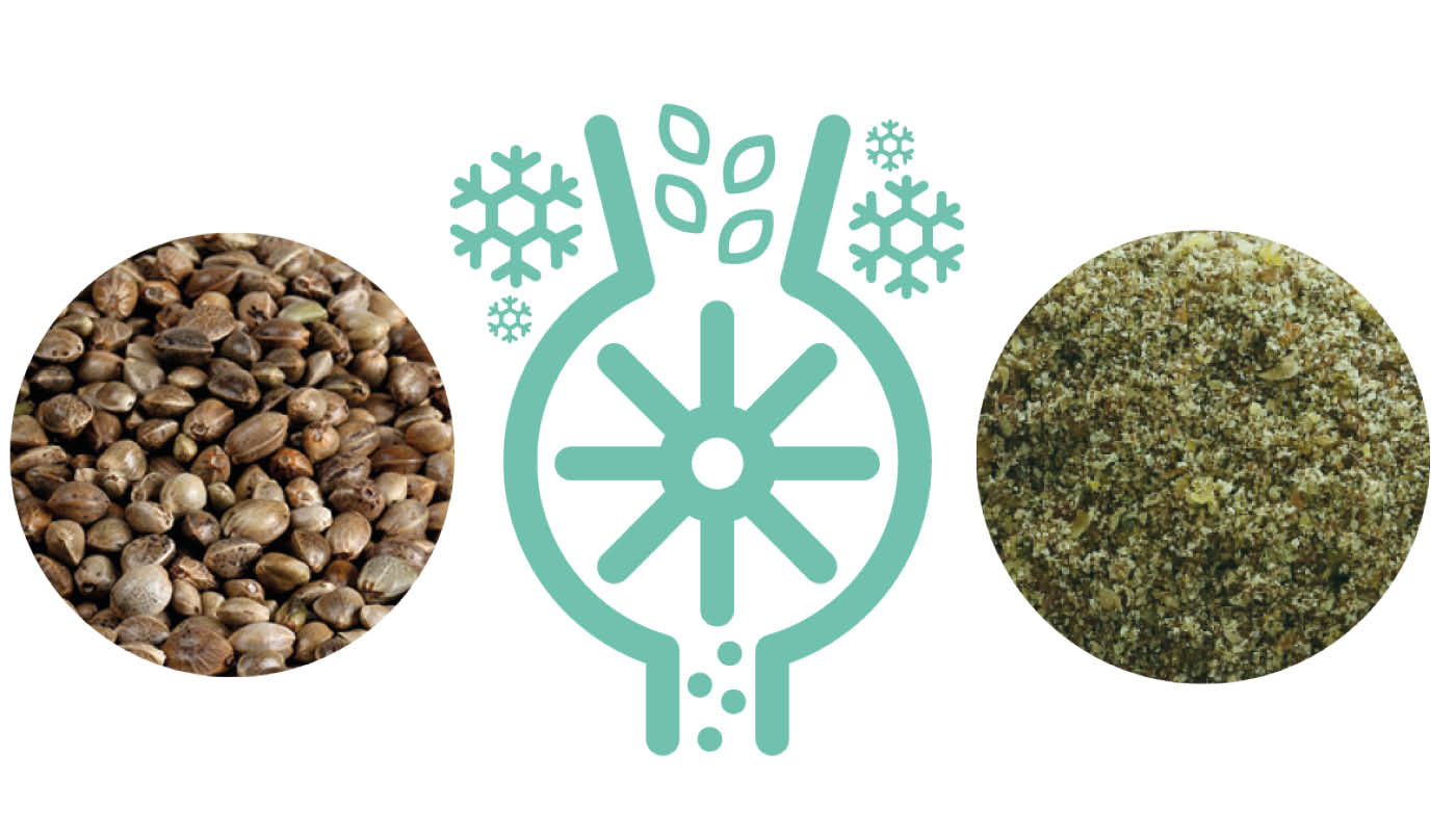 How to Shell Hemp Seeds – The Hemp Blog